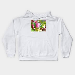 Photo of a beautiful pink cherry tree flowers Kids Hoodie